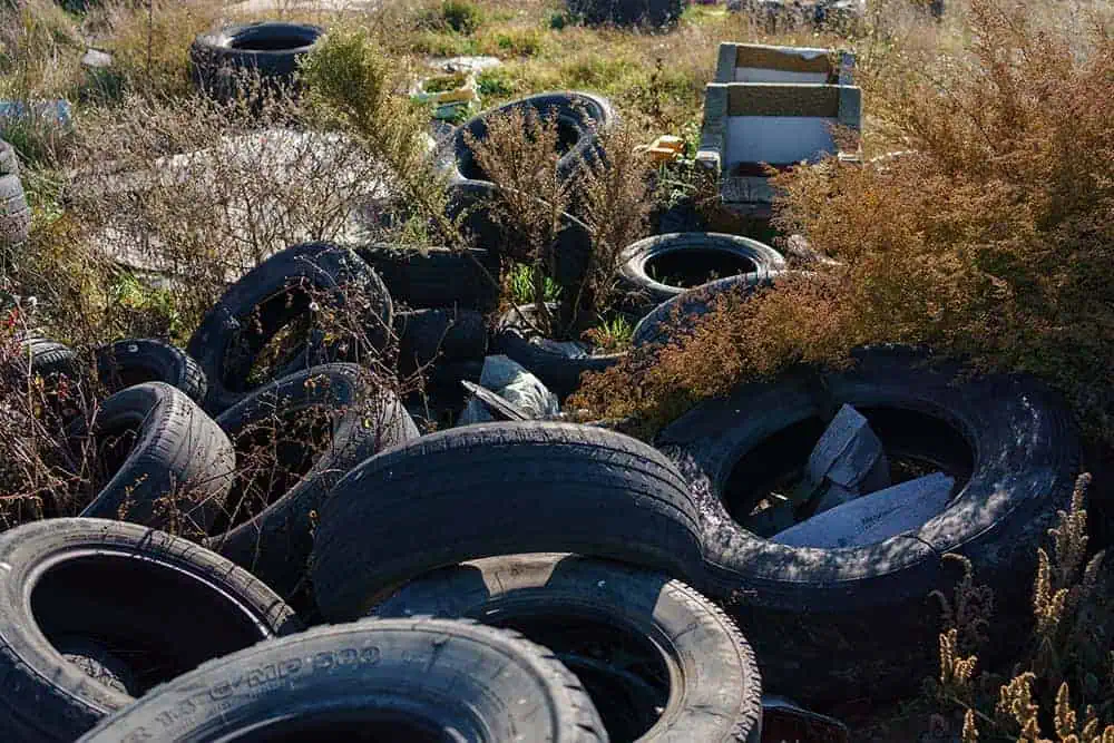 Abandoned field littered with old tires and overgrown weeds