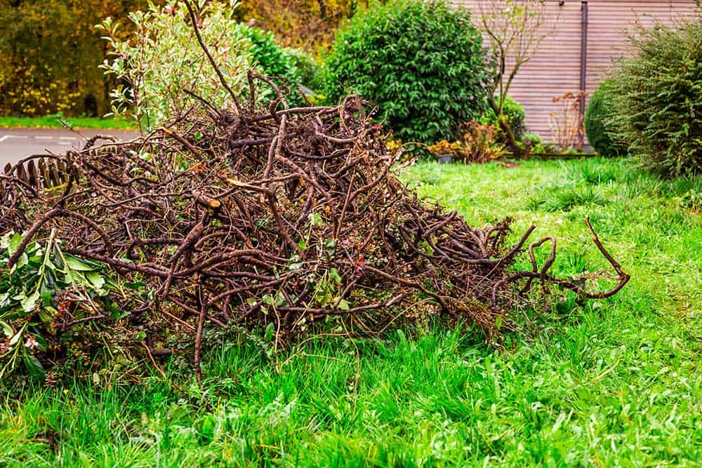 Pile of tree branches and garden trimmings stacked on a green lawn awaiting yard waste removal.